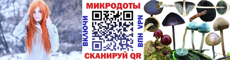 купить наркотик  Кедровый  Галлюциногенные грибы Psilocybine cubensis 