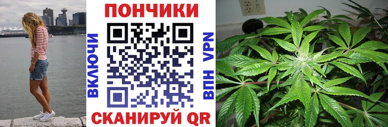 дарк нет как зайти Кедровый Бошки марихуана планчик mega ССЫЛКА